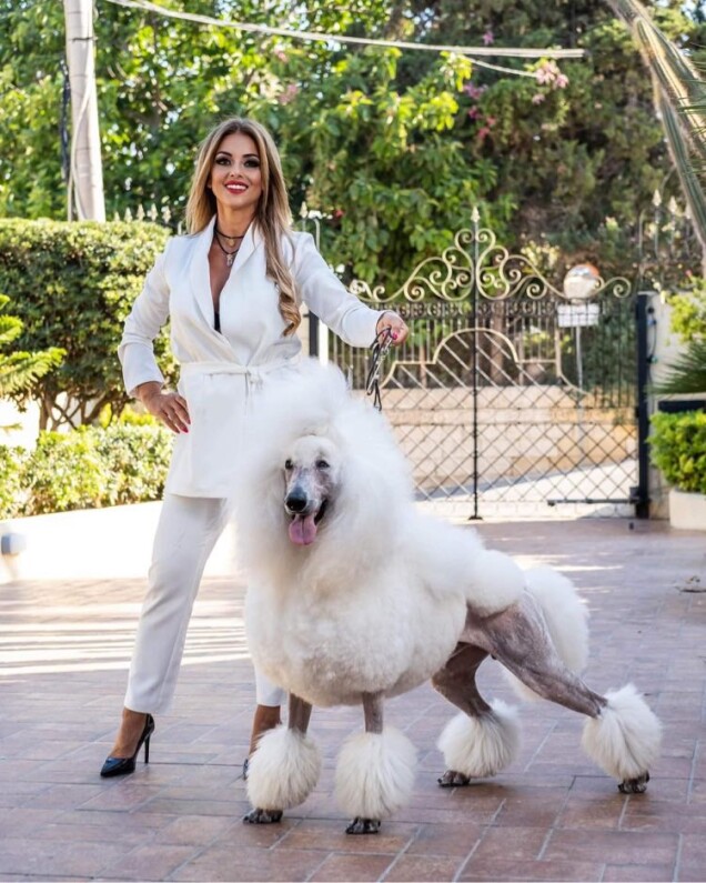 Grazielle Camilleri Blogger and entrepreneut holding white poodle in Malta